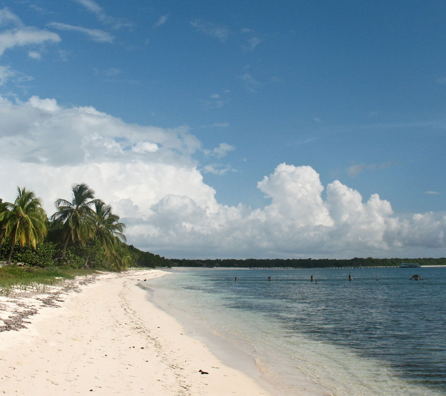 playa Punta Francés