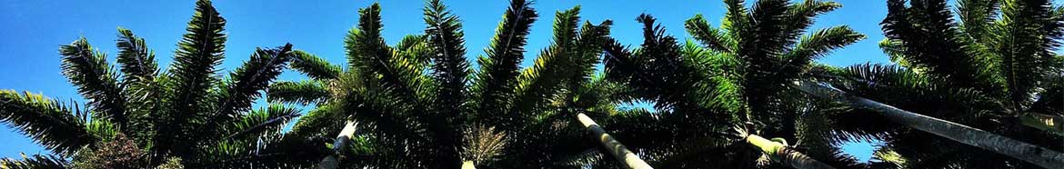 Literatura de viajes