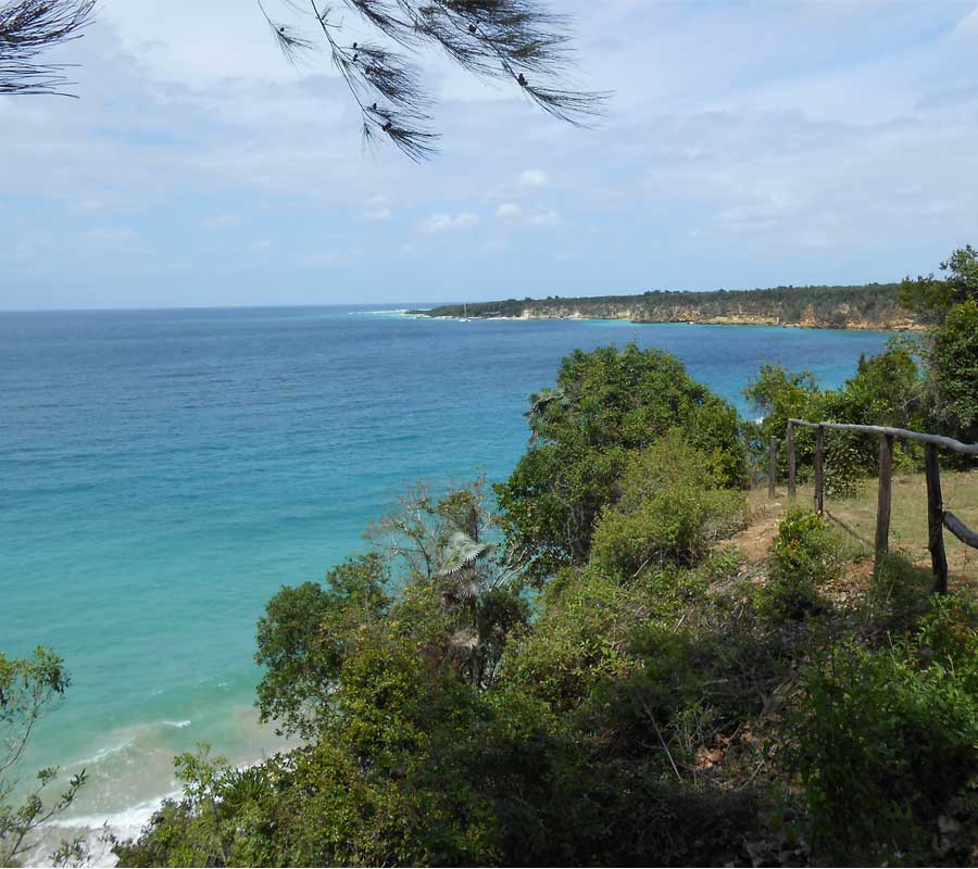 Virgen de la Caridad